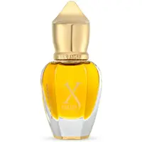 XERJOFF Black Sukar 15 ml — Olio Profumato Unisex