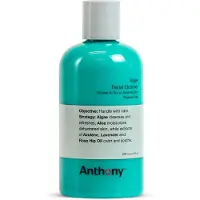 Anthony Detergente Algae