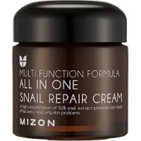 Mizon All In One Crema Rigenerante 120 ml — Crema Viso
