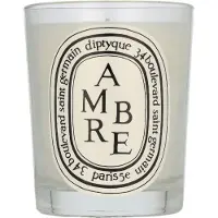 Diptyque Ambre 190 g — Candela Profumata