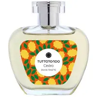 Tuttotondo Cedro 100 ml — Eau de Toilette