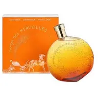 Hermès Paris Hermès L'Ambre des Merveilles 100ml — Eau de Parfum