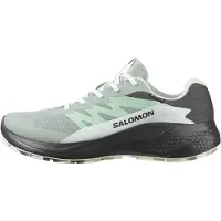 Salomon Women's Alphaglide GORE-TEX Scarpe per trail running Donna (38, grigio)