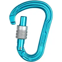 Edelrid HMS Strike Screw II Connettori HMS turchese