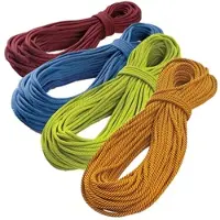 Tendon Master 7,8 mm Mezza corda (60 m, rosso)
