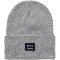 Patagonia Everyday Beanie Berretto (One Size, grigio)