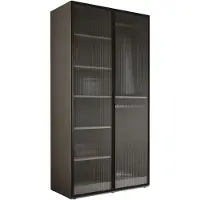 3Xeliving Armadio, 2 ante, dimensioni 100 x 200 x 51 cm, colore grigio, dimensioni 100 x 200 x 51 cm