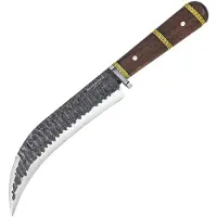 Condor Invictus Corvo