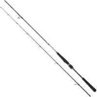 Daiwa Canna Spinning Saltist Seabass