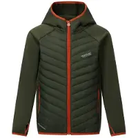 Regatta Kid's Junior Andreson Hybrid Giacca ibrida Bambini (11-12 Years, olivia)