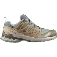 Salomon XA Pro 3D V9 GTX Scarpe sportive Uomo (46 2/3, beige)