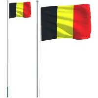 vidaXL Bandiera belga con asta in alluminio da 6,08 m