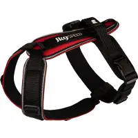JULIUS K-9 Pettorina Per Cani Speed
