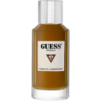 GUESS Originals Type 3 Tobacco & Amberwood 100 ml — Eau de Parfum
