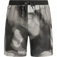 Protest PRTFligth Pantaloncino da bagno Uomo (M, grigio)
