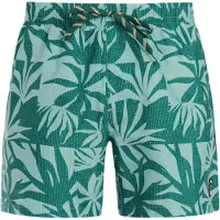 Protest PRTPanther Pantaloncino da bagno Uomo (L, turchese)