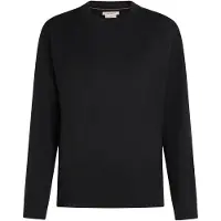 Icebreaker Women's Merino 150 Tech Lite L/S Relaxed Tee Maglia merino Donna (XS, nero)