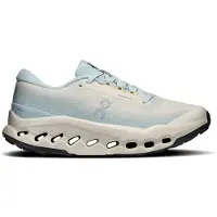 ON Women's Cloudsurfer Trail 2 WP Scarpe per trail running Donna (42, grain / brook)