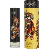 Christian Audigier Ed Hardy 100ml Uomo — Eau de Toilette