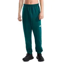 The North Face Mountain Athletics Fleece Pant 2.0 Pantaloni da allenamento Uomo (S, blu)