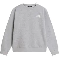 The North Face Kid's Teen Evolution Box NSE Crew Maglione Bambini (L, grigio)