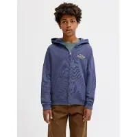 JACK&JONES JUNIOR Felpa Con Cappuccio Stampa Sul Retro Boys