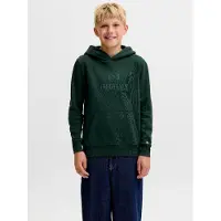 Jack & Jones Felpa Con Cappuccio Testo Boys