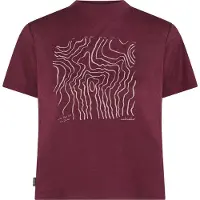 Icebreaker Women's Merino 150 Tech Lite S/S Crop Tee Maglia merino Donna (L, rosso)