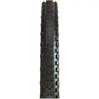 Maxxis Dissector II 29'' (61-622) Exo+ TR MaxxTerra Pneumatico da bicicletta (29'' x 2,4'' WT - 61-622, nero)
