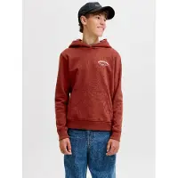 JACK&JONES JUNIOR Felpa Con Cappuccio Con Logo Boys
