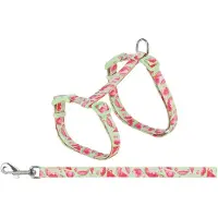 Trixie Pettorina Per Gatto Con Luce Guida