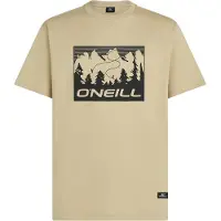 O'Neill Must-Have Front Print T-Shirt T-shirt Uomo (L, beige)