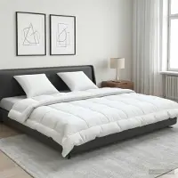 Syfax Set di piumone e cuscini 3 pz 220x260 cm Estate 140 GSM Lana