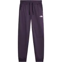 The North Face Women's Mountain Athletics Fleece Pant 2.0 Pantaloni da allenamento Donna (L, grigio)