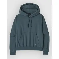Patagonia Women's Fitz Roy Massif Daily Hoody Felpa con cappuccio Donna (XS, blu)