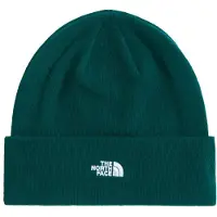 The North Face Norm Beanie Berretto Uomo (One Size, verde)
