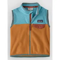 Patagonia Baby's Micro D Snap-T Vest Gilet in pile Bambini (4 Years, variopinto)