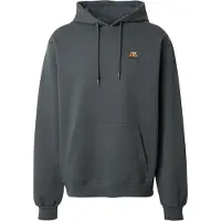 Iriedaily Serial Chiller Hoodie Felpa con cappuccio Uomo (L, grigio)