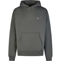 Iriedaily Flagloose Hoodie Felpa con cappuccio Uomo (M, grigio)