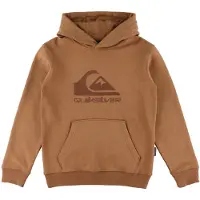 Quiksilver Kid's Comp Logo Hoodie Felpa con cappuccio Bambini (10, arancione)