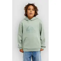 Quiksilver Kid's Comp Logo Hoodie Felpa con cappuccio Bambini (10, verde)