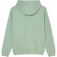 Quiksilver Kid's Comp Logo Hoodie Felpa con cappuccio Bambini (8, verde)
