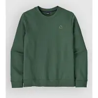 Patagonia Fitz Roy Massif Daily Crew Maglione Uomo (L, olivia/verde)