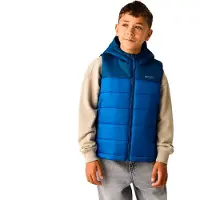 Regatta Lofthouse B/W Gilet sintetico Bambini (3-4 Years, blu)