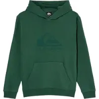 Quiksilver Kid's Comp Logo Hoodie Felpa con cappuccio Bambini (14, verde)