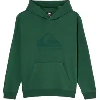 Quiksilver Kid's Comp Logo Hoodie Felpa con cappuccio Bambini (8, verde)