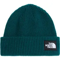 The North Face Salty Lined Beanie Berretto Uomo (One Size, blu)