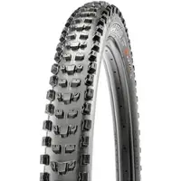 Maxxis Dissector II 29'' (61-622) DD TR MaxxTerra Pneumatico da bicicletta (29'' x 2,4'' WT - 61-622, nero)