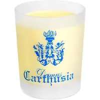 Carthusia Mediterraneo 190 g — Candela Profumata