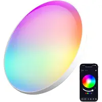 OEM Plafoniera, controllo intelligente, luminosità regolabile, 1 unità, lampadina sostituibile, BIANCO, 21-30W